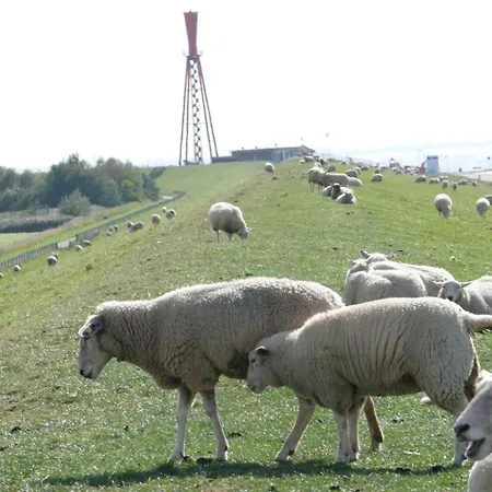 Hochwertiges In Einem By Interhome Ferienhaus